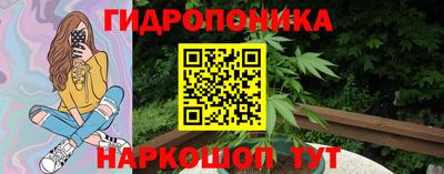 тгк Партизанск
