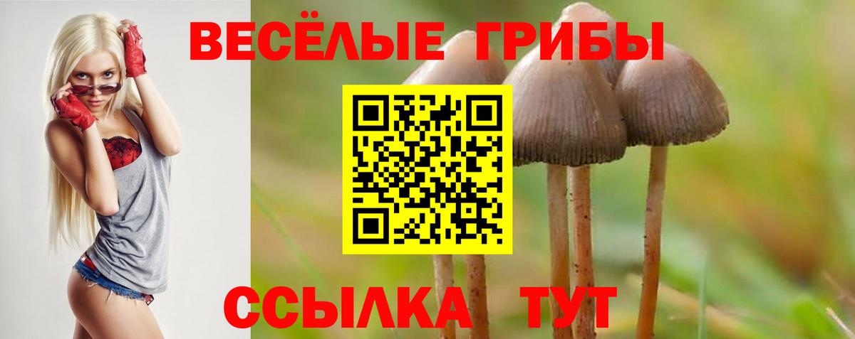 Рубцовск  Псилоцибиновые грибы Magic Shrooms  Псилоцибиновые грибы Magic Shrooms  наркота  Вход с VPN 